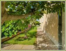 Maison à vendre 7 pièces SAINTE SAVINE (10)