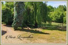 Dpt Aube (10), à vendre Davrey, Moulin  P 13 