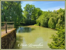 Dpt Aube (10), à vendre Davrey, Moulin  P 13 