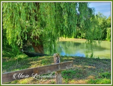 Dpt Aube (10), à vendre Davrey, Moulin  P 13 