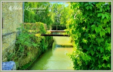 Dpt Aube (10), à vendre Davrey, Moulin  P 13 