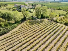 Entre Uzès et Nîmes – Mas de caractère 360 m², piscine, 1,7 ha et vignes  Maison à vendre 9 pièces  (30)