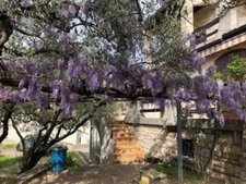 Maison à vendre 6 pièces ALES (30)