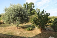 Maison à vendre 5 pièces  (30)