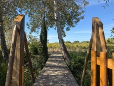 Entre Uzès et Nîmes – Mas de caractère 360 m², piscine, 1,7 ha et vignes  Maison à vendre 9 pièces  (30)