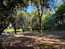 Maison à vendre 3 pièces GENERARGUES terrain de 6304m2 (30)