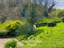 Dpt Morbihan (56), à vendre ROHAN propriete P17 de 338 m² - Terrain de 31 655 m² 