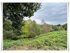 Maison à vendre 6 pièces PLUMELIAU (56) Propriété en pierre au cœur de la nature – Un cadre de vie enchanteur