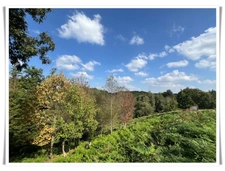 Maison à vendre 6 pièces PLUMELIAU (56) Propriété en pierre au cœur de la nature – Un cadre de vie enchanteur