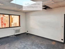 Industrial building 2,239 m² – Plot 9,687 m² – IZERNORE (01)