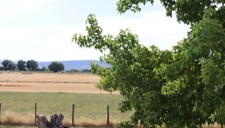SAINT-BÉNIGNE – Villa d'exception avec piscine, vue sur les Monts du Mâconnais et terrain de 4 608 m²