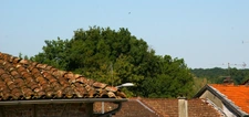 Dpt Ain (01), for sale SAINT JULIEN SUR REYSSOUZE building - Land of 165.00 m²