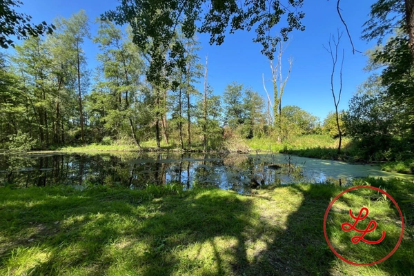 Propriété à vendre au calme et dans la nature