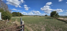 ENSEMBLE IMMOBILIER À FORT POTENTIEL – HANGAR AGRICOLE, STOCKAGE, BOXES À CHEVAUX ET MAISON – ENVIRON 5 000 m² DE TERRAIN
