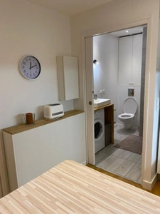 BIARRITZ CENTRE – T1 BIS MEUBLÉ 29,66 M² – BAIL MOBILITÉ 10 MOIS – 700 € CC