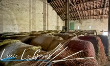 Ferme équestre