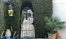 Propriété de 181m², parc clos et arbré, garage à Saulnes