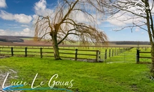 Ferme équestre