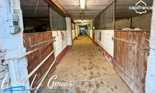 Ferme équestre