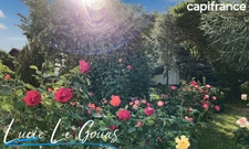 Propriété de 181m², parc clos et arbré, garage à Saulnes