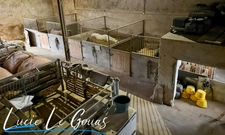 Ferme équestre