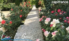 Propriété de 181m², parc clos et arbré, garage à Saulnes