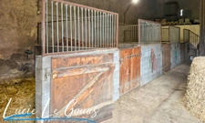 Ferme équestre