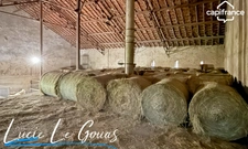 Ferme équestre