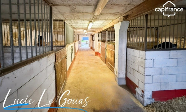 Ferme équestre