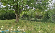 Maison mitoyenne 8 pièces à vendre PIENNES (54) commerce et terrain constructible