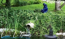 Propriété de 181m², parc clos et arbré, garage à Saulnes