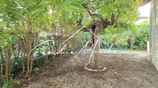 Maison à rénover de plain-pied de 67m² - 2 chambres - jardin et garage