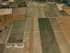 Prestigious wine and tourist estate – 63 ha – Near the Mediterranean