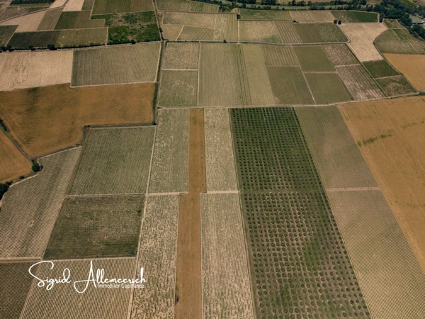Domaine viticole & touristique de prestige – 63 ha – Proche Méditerranée