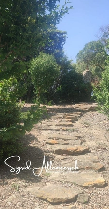 Prestigious wine and tourist estate – 63 ha – Near the Mediterranean