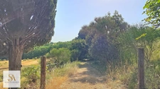 Domaine de caractère de 304 m² sur plus de 60 hectares d’un seul tenant – Entre nature, élégance et art de vivre
