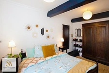 Property for sale 4bedrooms and 3berooms / twinhome RIEUX EN VAL (11)