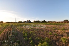 Maison à rénover avec grand terrain