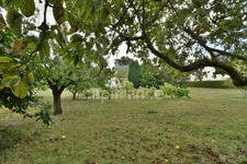 Maison 3 chambres sur plus de 4900 m2 de jardin