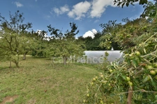 Maison 3 chambres sur plus de 4900 m2 de jardin