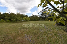 Maison 3 chambres sur plus de 4900 m2 de jardin