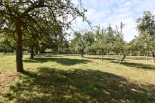 Propriété à vendre 10 pièces PASSAIS LA CONCEPTION (61)