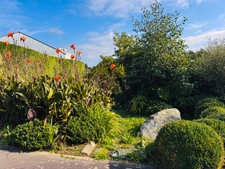 Maison T 3 avec étang et grenier aménageable sur 2 183 m² de terrain – Plouguin