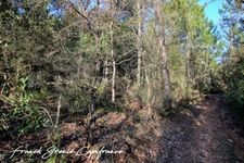 Terrain naturel 55050m²  TOURVES (83)
