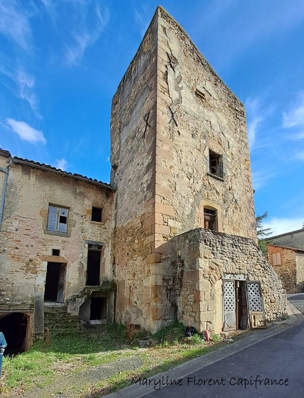 Batisse de caractère en pierre à rénover  SAUVAGNAT SAINTE MARTHE (63)