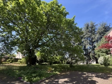 A vendre immeuble professionnel 360 m2 sur 1363 M3 de terrain clos et arboré  à CLERMONT FERRAND (63)