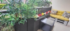 Appartement à vendre 2 pièces CABOURG (14)
