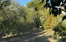 SAINT-ANDRE DE SANGONIS (34725), à vendre à maison de ville T7 209m² sur terrain de 1090m²