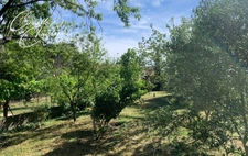 SAINT-ANDRE DE SANGONIS (34725), à vendre à maison de ville T7 209m² sur terrain de 1090m²