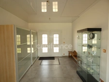 11-room property for sale in POINTRE (39)